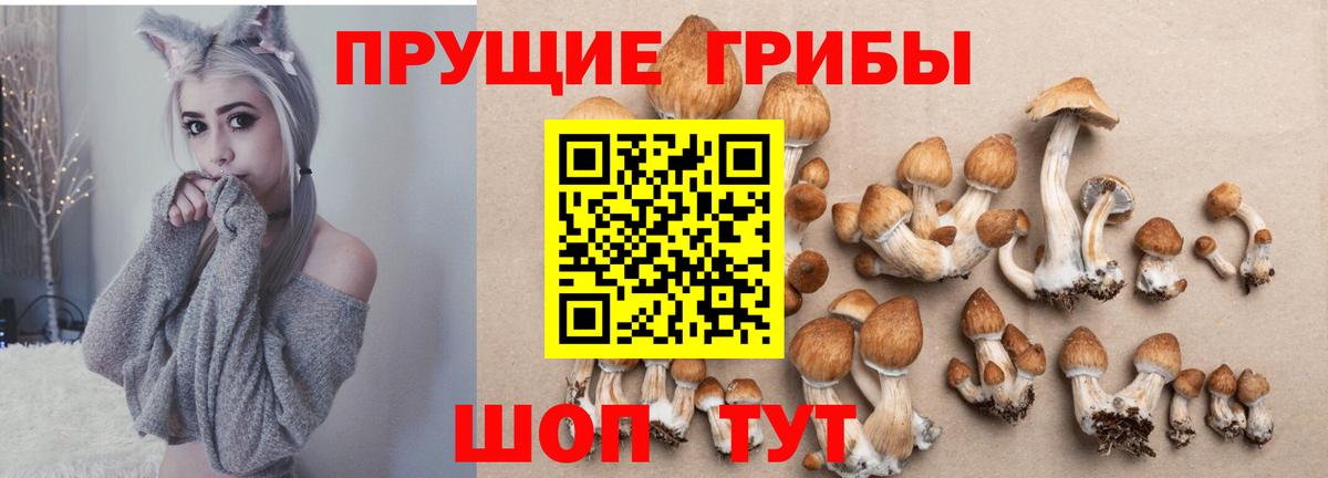 Псилоцибиновые грибы MAGIC MUSHROOMS  где продают   Лениногорск  Вход с VPN 